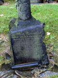 image of grave number 556255